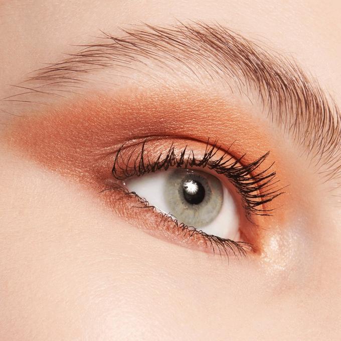 the BROWN edition eyeshadow palette