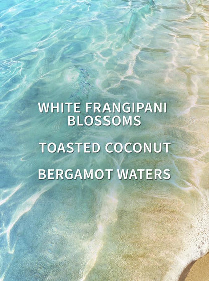 At The Beach Body Wash Body Wash