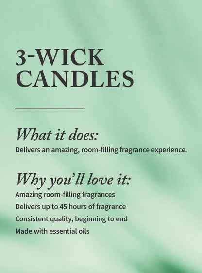 Vanilla Bean 3-Wick Candle